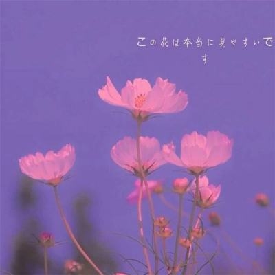 天霸学院手机版下载